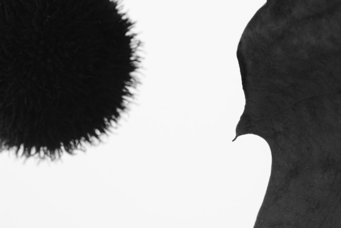 06-max-raabe-mein-kleiner-gruener-kaktus