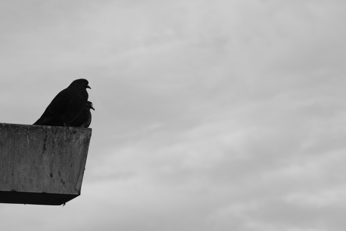 12-israel-kamakawiwoole-somewhere-over-wonderful-world